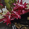 _DSC0027