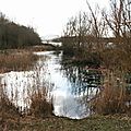 IMG_5549