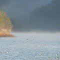 Etang de Vaulaurent