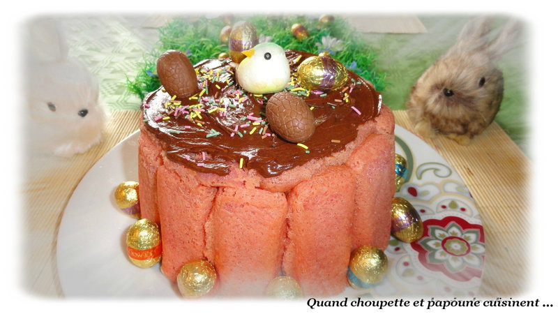 charlotte aux biscuits roses et mousse chocolat-4