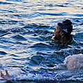 IMG_8288 - Copie