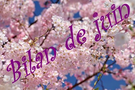 bilan de juin