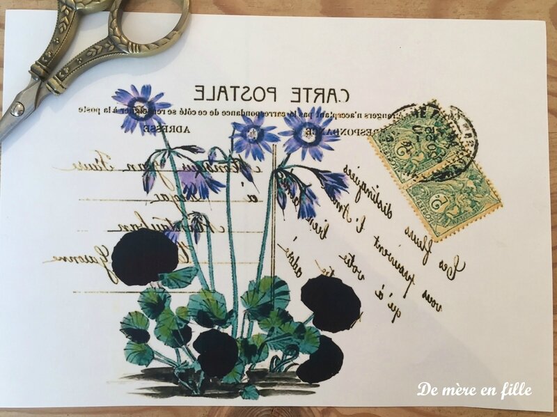 carte postale fleurs 2