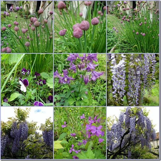 jardin 12 mai 20239