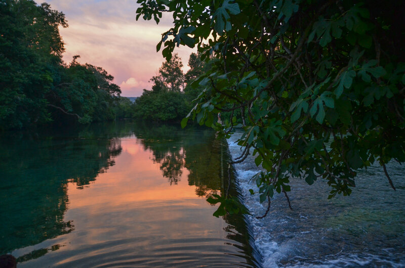 DSC_8468