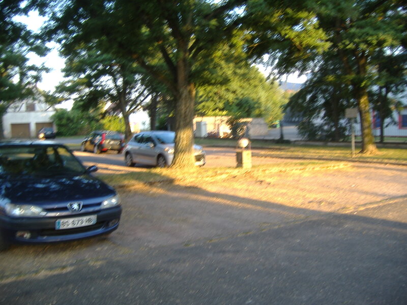 DSCF0549