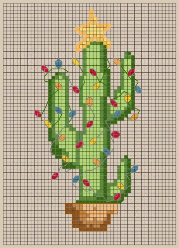 Christmas-cactus