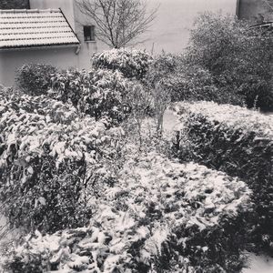 Snow_at_home__mars_2013