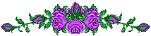 nature47