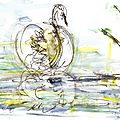 Cygne-voilier