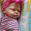 ZELEA, plus disponible