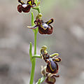 04 (137)