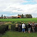 IMGP0118