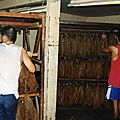 cuba99__061