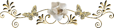 fin article papillons or