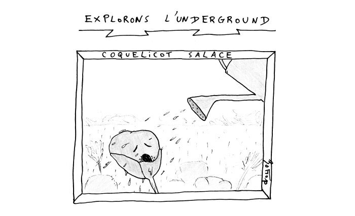 underground coquelicot