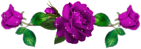 fleur bannière rose violette