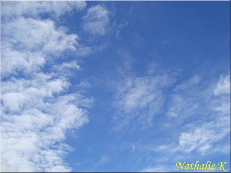 _c_LNK_le_12_novembre_2010_028_copie