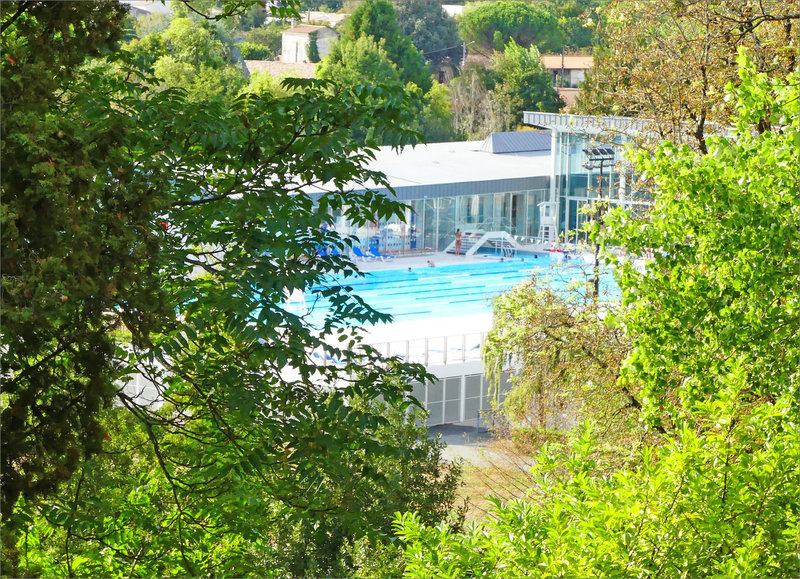 Piscine arbres 260822