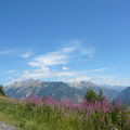 Le blog reste ouvert en aout