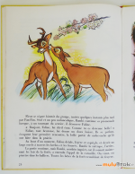 BAMBI-Album-Hachette-7-muluBrok-Vintage