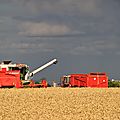 IMG_4190