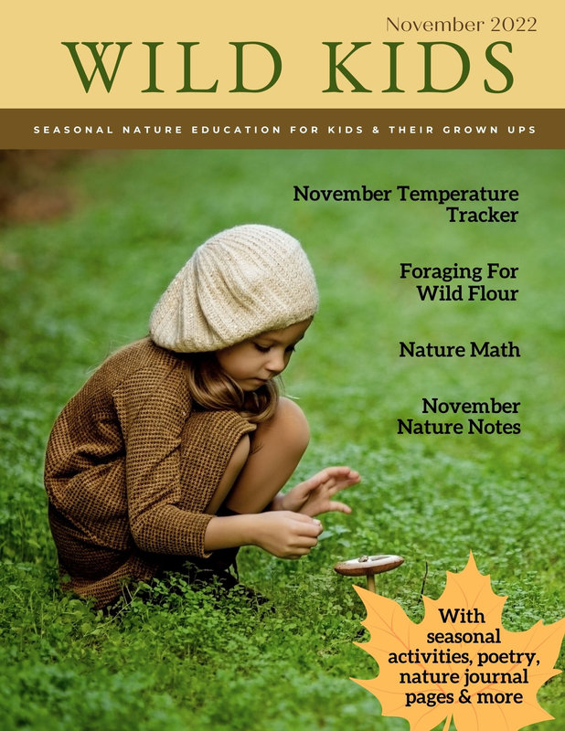 Cover-of-November-2022-Wild-Kids-Magazine