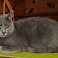 IMG_0010 - Copie