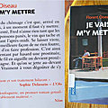 Je vais m'y mettre, de florent oiseau