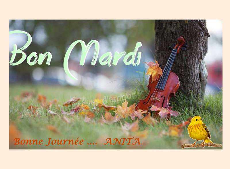 mardi 19 oct