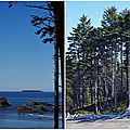 Ruby Beach Destruction Island