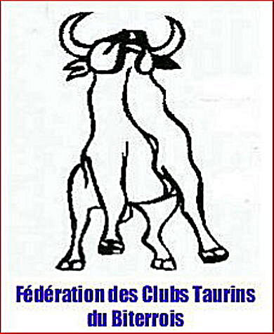 logo fede 2013