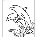 Coloriage dauphins Dessin Ghislaine Letourneur - Iluminación delfines - Kolorierung Delphine - Colouring dolphins - Coloritul delfini - Coloritura delfini 