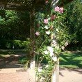Flânerie au parc floral de la source à orléans…