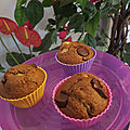 Muffins au son de blé, pomme, cannelle et pépites de chocolat ; cmum