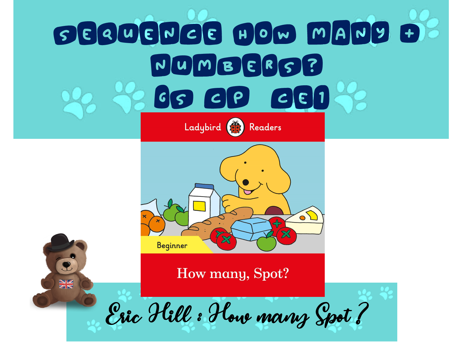 How Many Spot Sequence Nombres Et How Many Cycle 2 Brown Bear Co L Anglais Avec Le Storytelling
