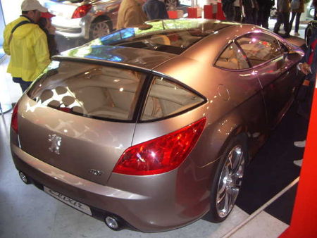 Peugeot407Elixir