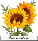 tournesol