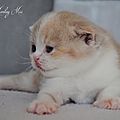 _DSC0378