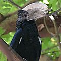 P1060286