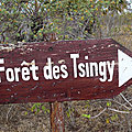 P1130769
