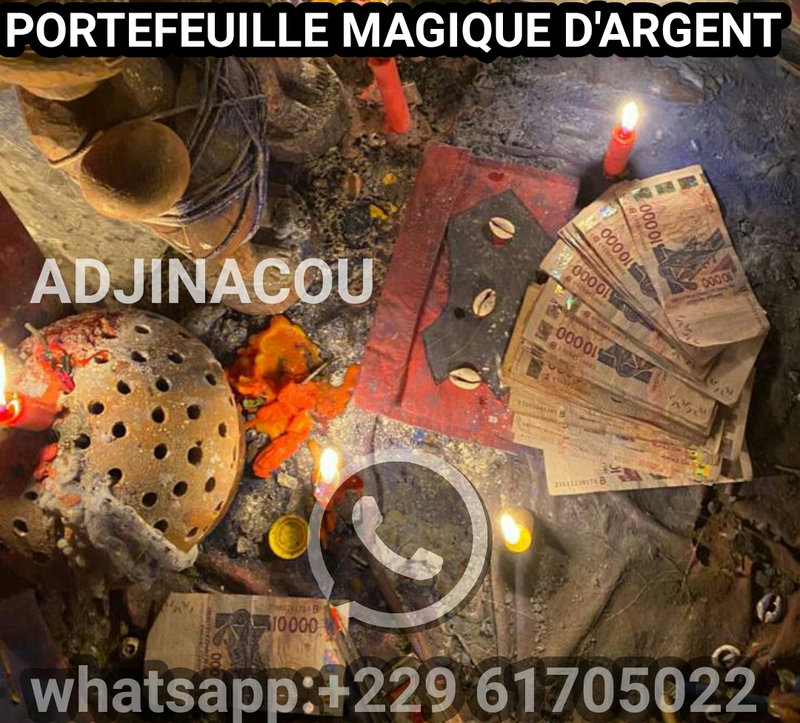 PORTEFEUILLE MAGIQUE MULTIPLICATEUR D'ARGENT
