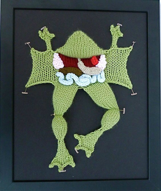 dissection-grenouille-epingles