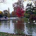 025 - Balade de l'eau à Vincennes