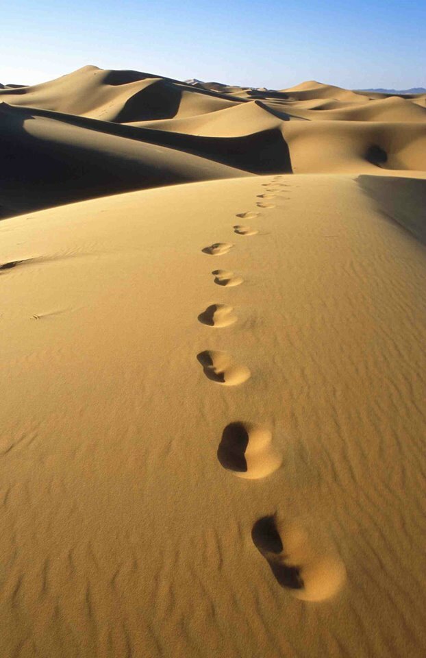 Avec Toi Nous Irons Au Desert Vers Paques Coeur Unis De Jesus Et De Marie