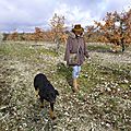Truffes-paysage-600x400