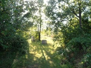lespelousesdebléré (4)