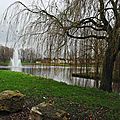 IMGP3328