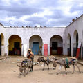 Le marché musulman de la vieille ville d'Harar
