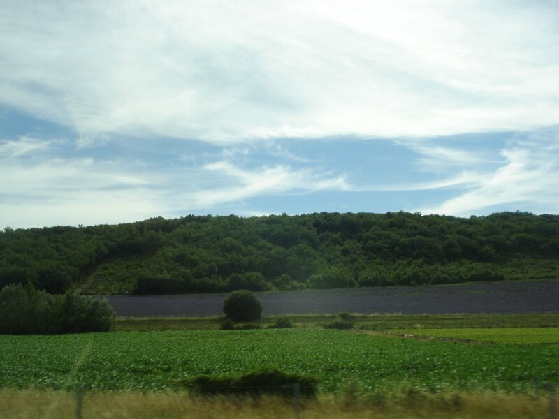 DSC07645